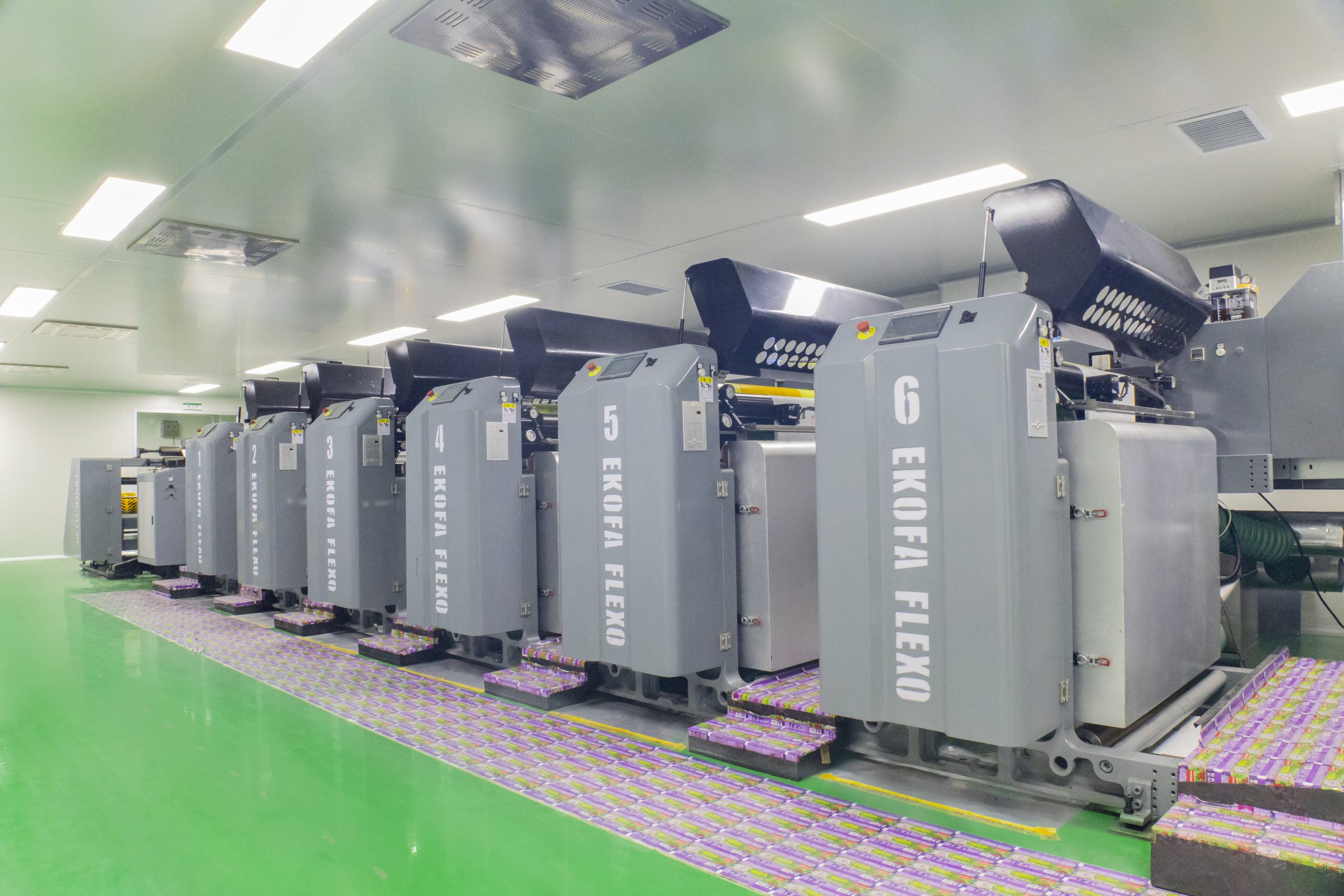 Production machinery inside Lion Packaging's flexible packaging factory in Thailand